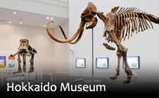 Hokkaido Museum