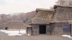 Restored houses thatched with saw grass (The Ainu Museun)