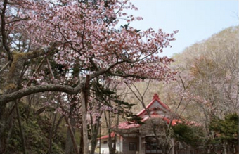 Kokutaiji Temple designated a historic site by the national government