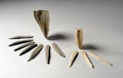 Pirika Site: Assembled Rankoshi-type microblade core (Photographed by Tadahiro Ogawa)