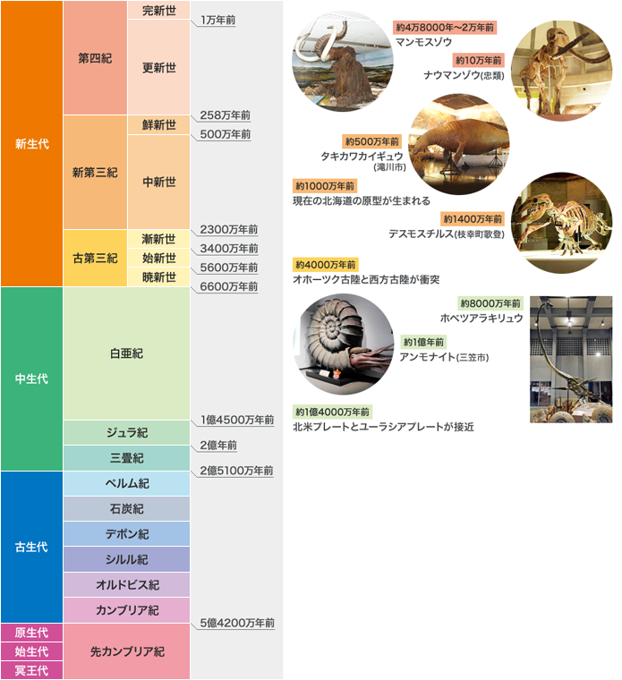 自然史年表